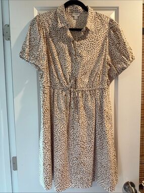 J. Crew Women Cream Dress with Brown Leopard Spots